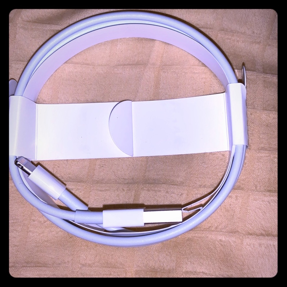 Apple charger